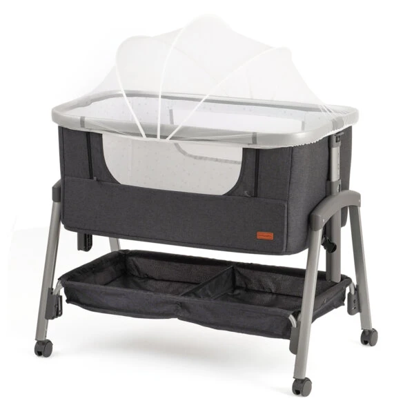 אפור רגל אפורה