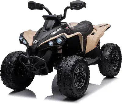 ממונע מקורי CAN AM 24 V