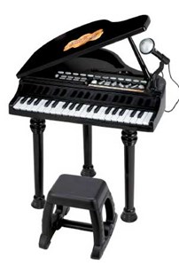 פסנתר כנף לילדים Baby Musician מבית Winfun התורמת להתפתחות ילדכם ולשמיעתו המוזקלית .