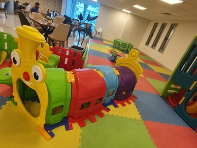 זחל איכותי ביותר בשלל צבעים עם אחריות שנתיים על גוון הצבעים