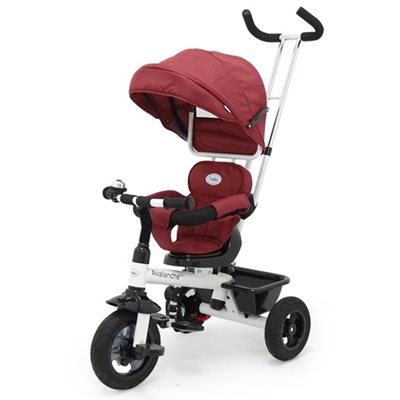 תלת אופן טוויגי TWIGI עם גגון גדול וארגז אחורי וקדמי נשלט מאחור